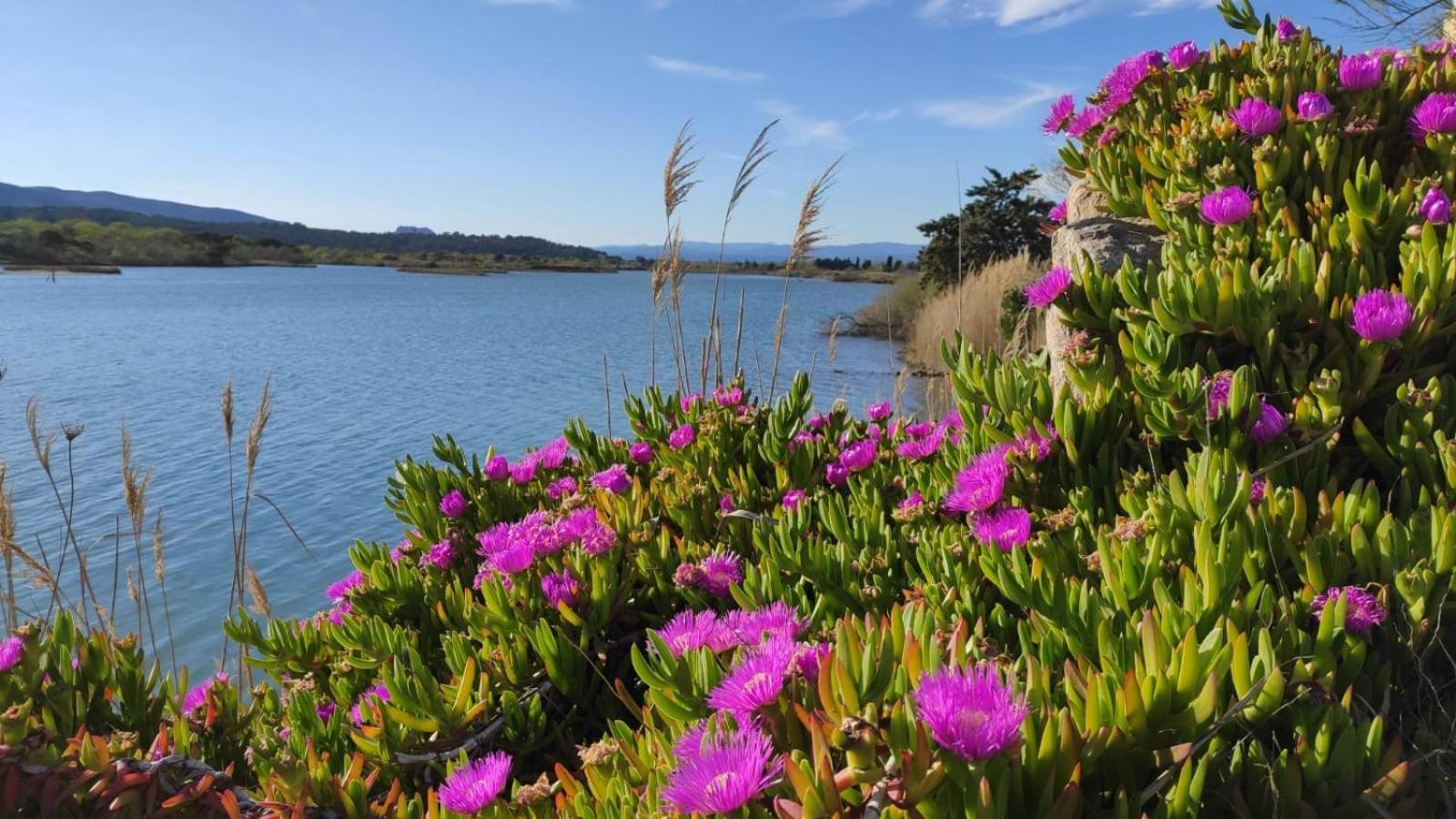 Appartement Lumineux Vue Mer Fréjus 外观 照片